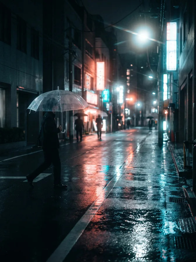Tokyo After Rain