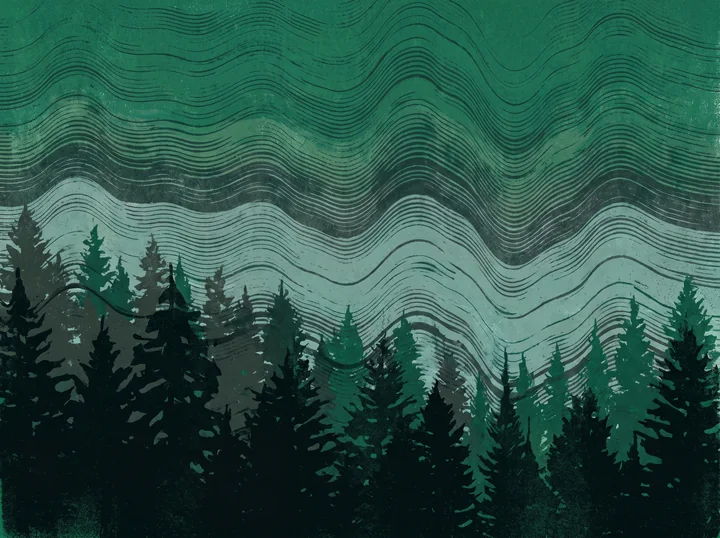 Forest Frequency