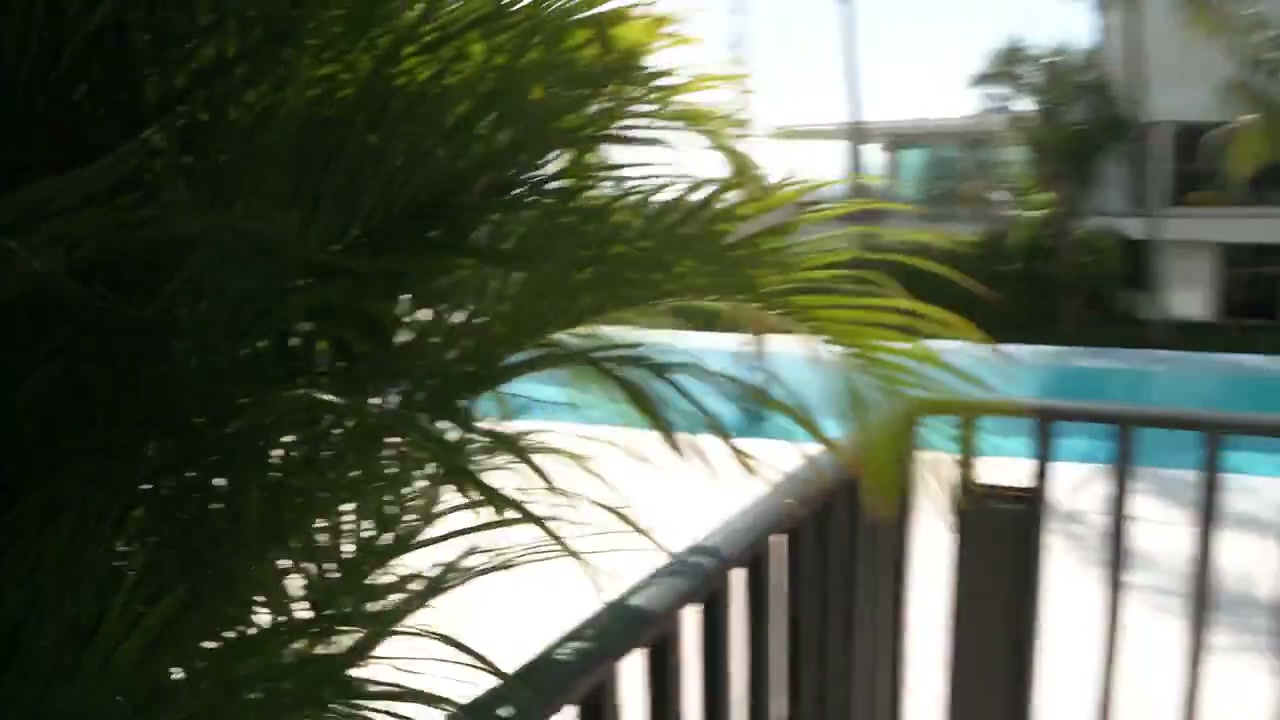 Realistic Paparazzi Tabloid Footage